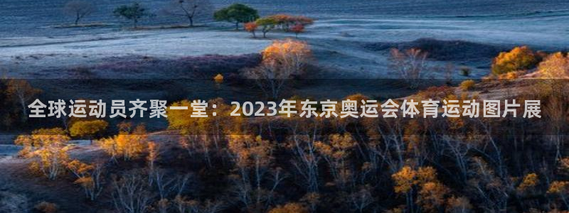 MK体育官网下载平台APP：全球运动员齐聚一堂：2023年东