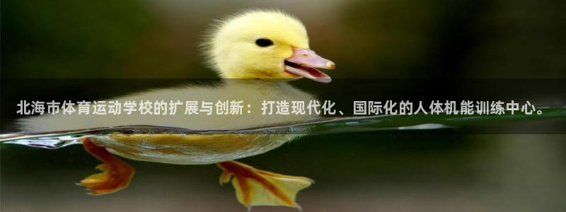MK体育官方正版app娱乐代理怎么样：北海市体育运动
