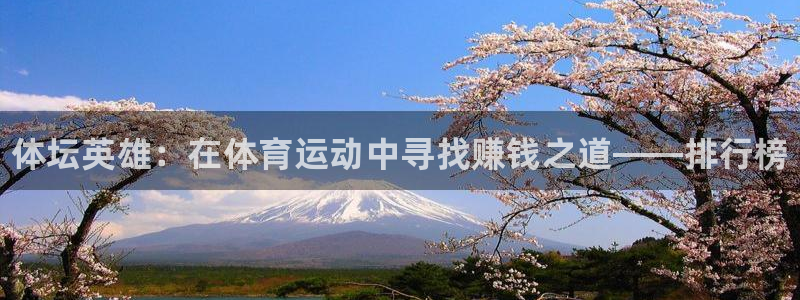 MK体育官方正版app集团官网首页：体坛英雄：在体育