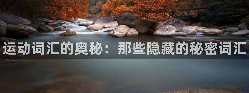 MK体育官方正版app官网：运动词汇的奥秘：那些隐藏的秘密词