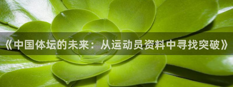 MK体育官网下载软件：《中国体坛的未来：从运动员资料中寻找突