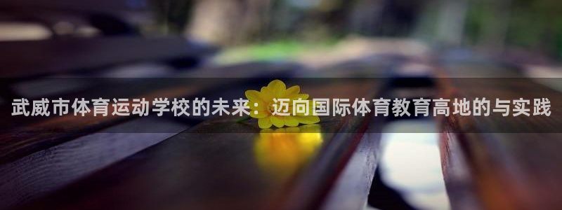 MK体育官网下载招商电话地址：武威市体育运动学校的未来：迈向