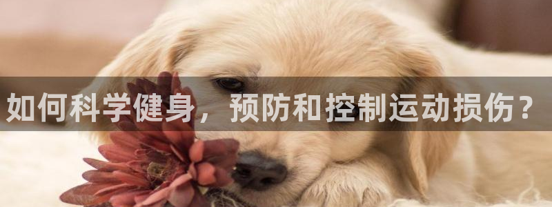 MK体育官网下载平台假的吗是真的吗吗：如何科学健身，