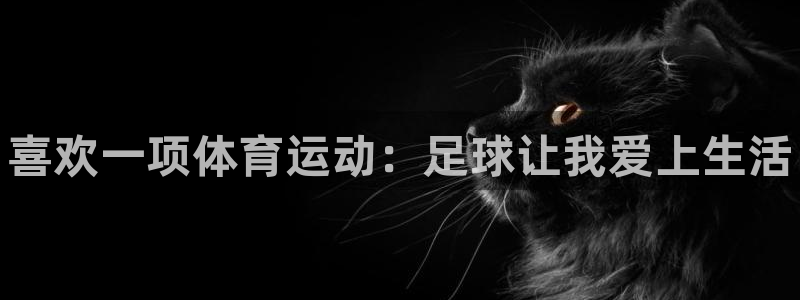 MK体育官网下载软件