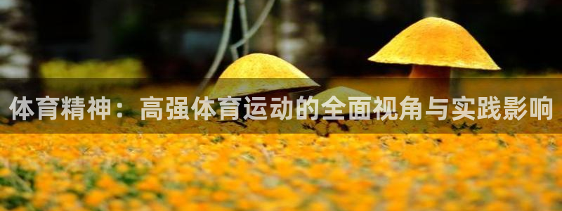 MK体育官方正版app代理：体育精神：高强体育运动的全面视角
