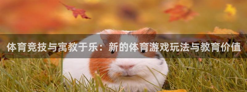 MK体育官方正版app神州：体育竞技与寓教于乐：新的体育游戏
