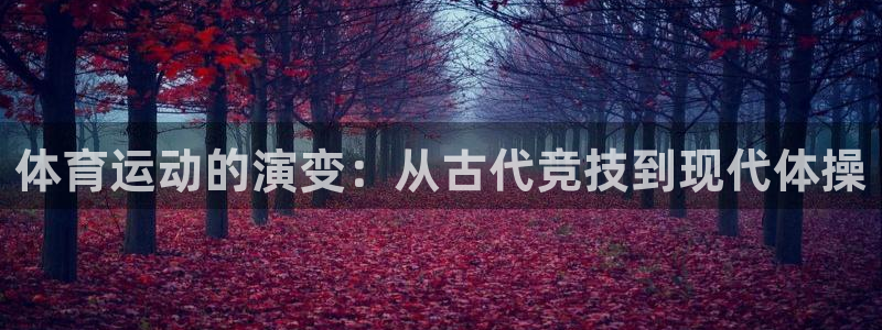 MK体育官网下载平台注册要钱吗：体育运动的演变：从古