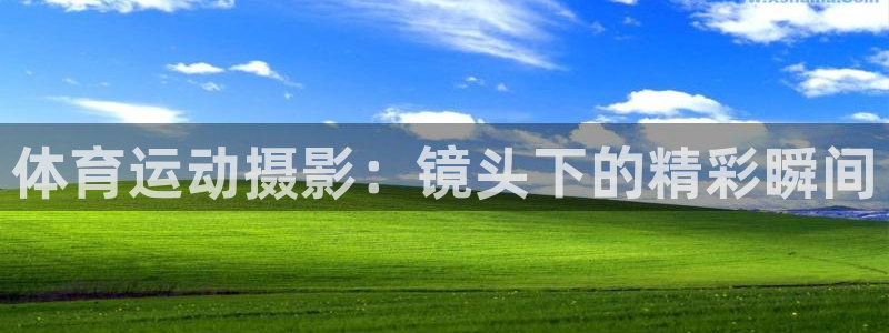 MK体育官方正版app神州：体育运动摄影：镜头下的精