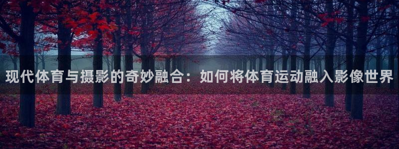 MK体育官网下载招商电话号码查询：现代体育与摄影的奇