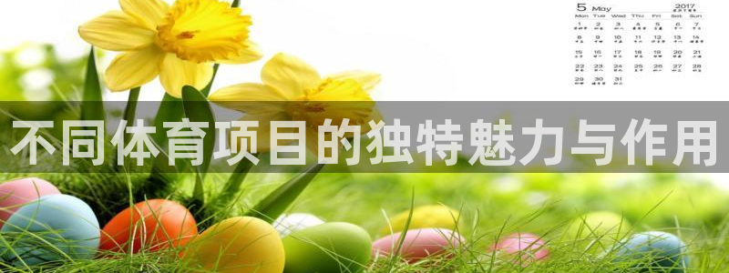 MK体育官方正版app娱乐首页网站大全：不同体育项目