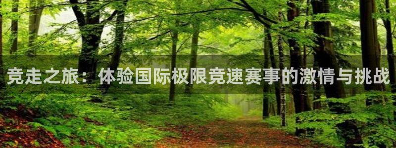 MK体育官网下载平台注册要钱吗：竞走之旅：体验国际极