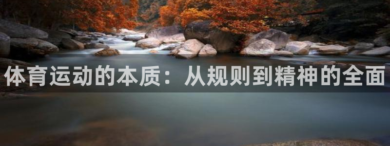 MK体育官网下载：体育运动的本质：从规则到精神的全面