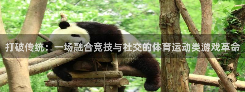 MK体育官方正版app新能源：打破传统：一场融合竞技