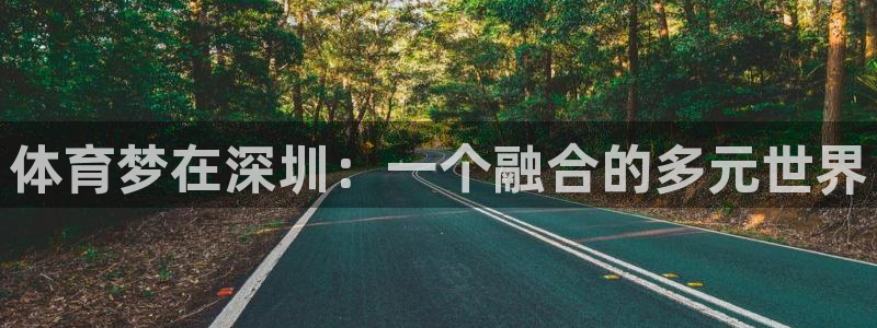 MK体育官方正版app娱乐代理怎么样