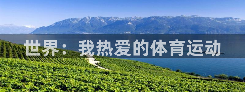 MK体育官网下载招商电话号码查询：世界：我热爱的体育运动