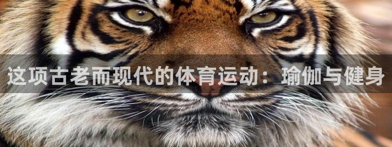 MK体育官方正版app开户