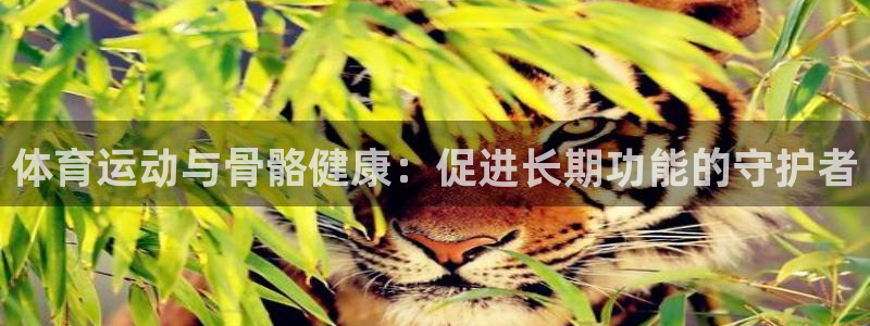 MK体育官网下载招商电话号码