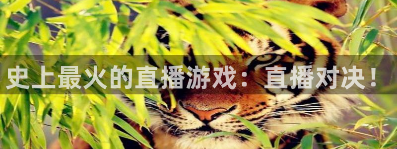nba直播 极速：史上最火的直播游戏：直播对决！