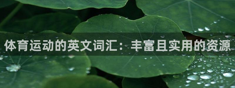 mk体育系列平台有哪些