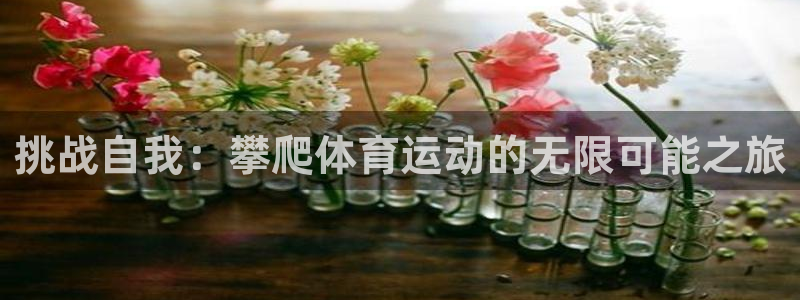 mk体育官网中文官网