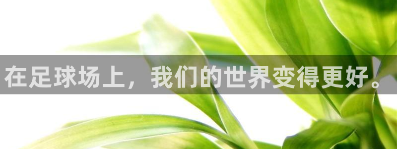 mk体育官网