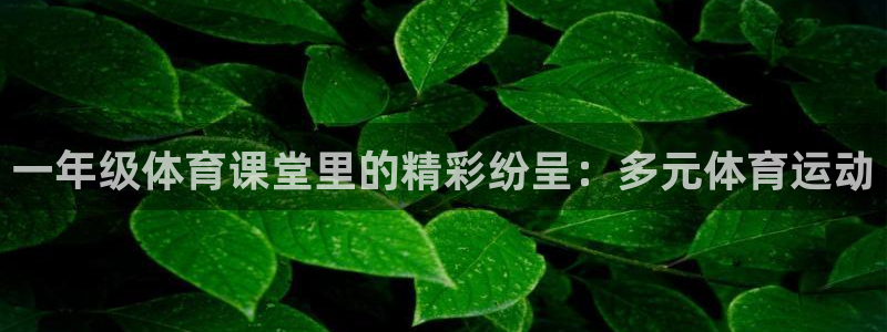 mk体育下载