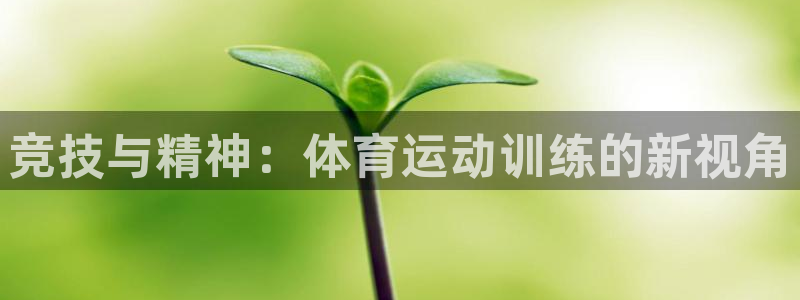 mk体育登录