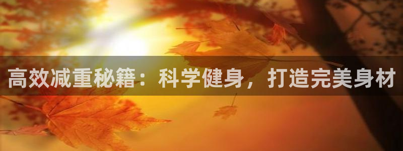 mK体育在线官网