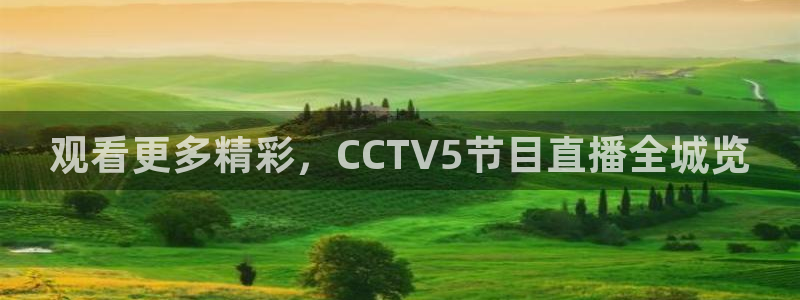极速体育视频直播在线观看：观看更多精彩，CCTV5节目直播全城览