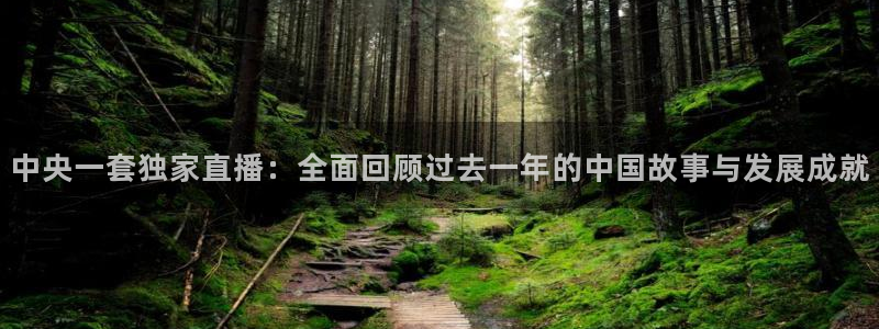 山猫极速体育直播：中央一套独家直播：全面回顾过去一年的中国故事与发展成就