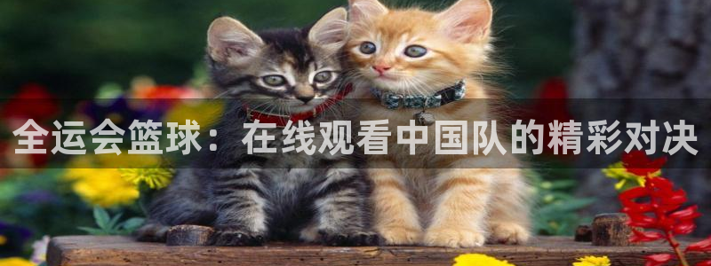 极速nba直播：全运会篮球：在线观看中国队的精彩对决