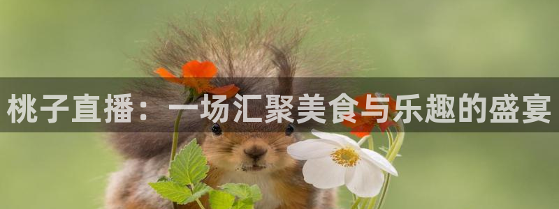 极速体育直播在线观看：桃子直播：一场汇聚美食与乐趣的盛宴