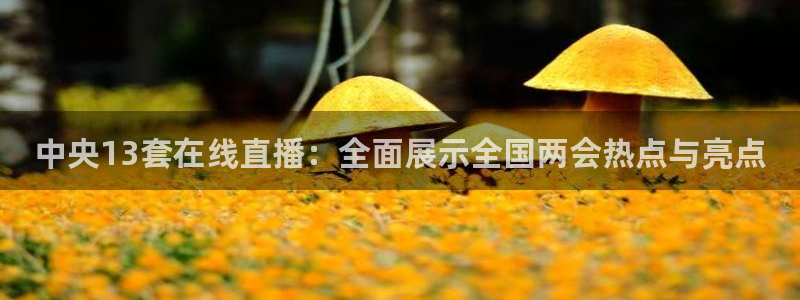 极速nba直播吧