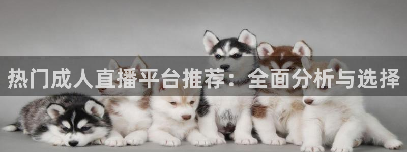 手机在线直播nba极速体育